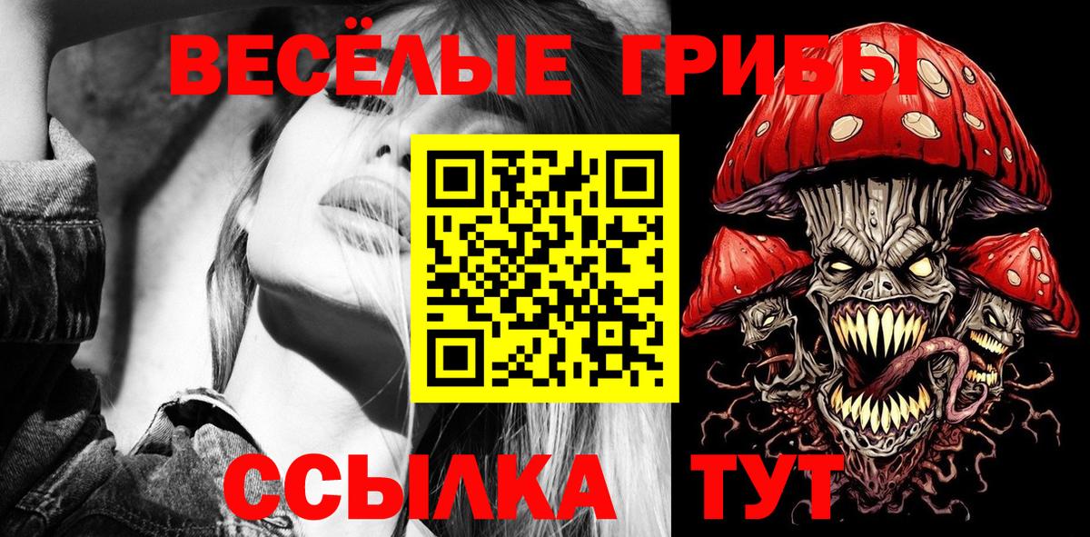 Галлюциногенные грибы Psilocybine cubensis Пушкино