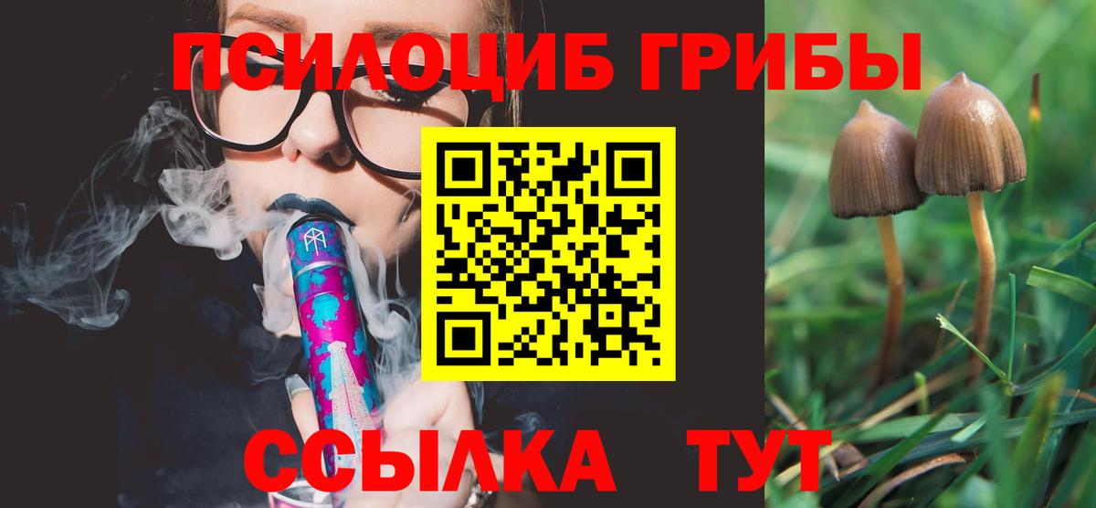 Псилоцибиновые грибы мухоморы  Вход с VPN  Пушкино 